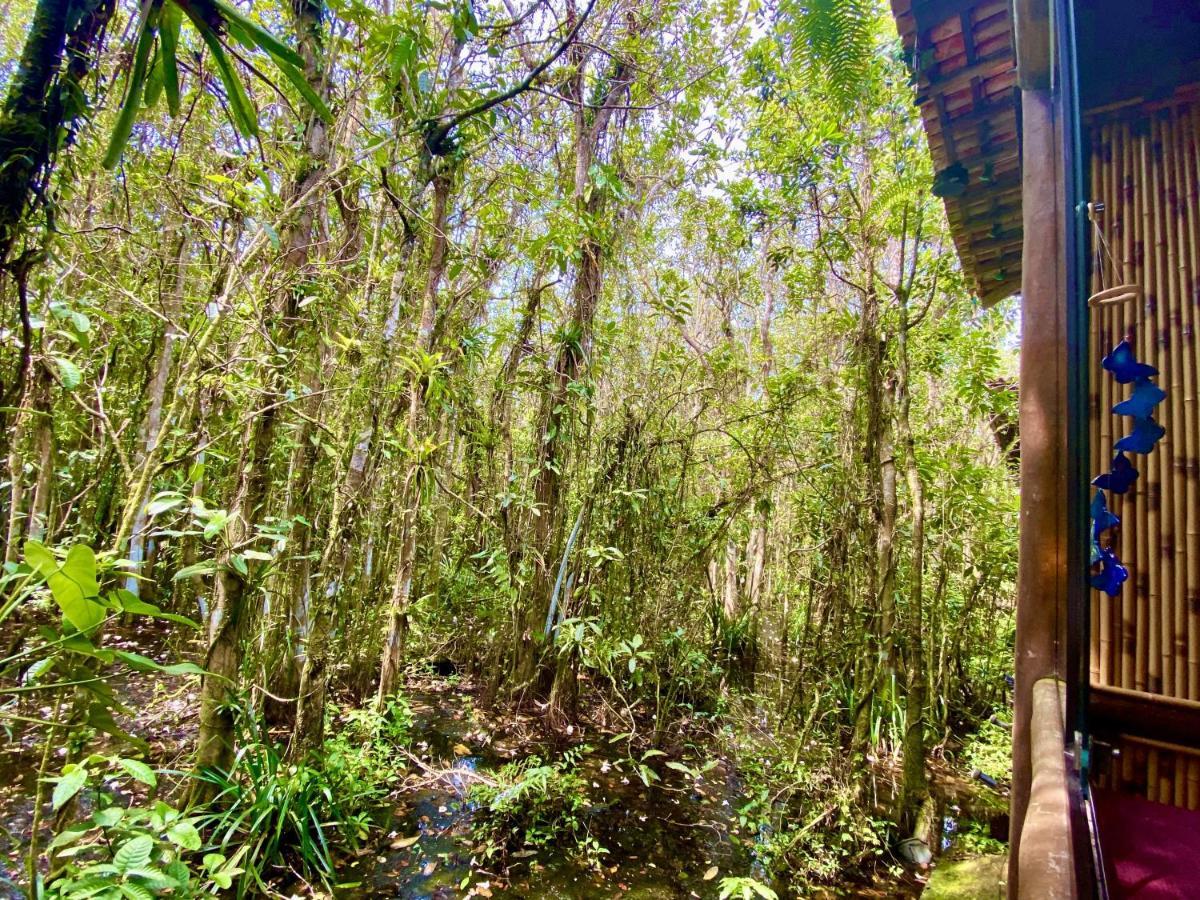 Maresias, Chalé H29 em condomínio de frente a Entrada 18 da praia e dentro da Mata Atlântica Sao Sebastiao  Exterior foto